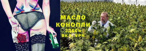 гидра Медногорск