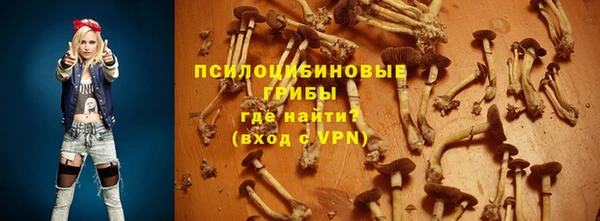 гидра Медногорск