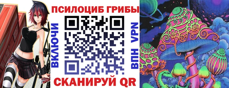 где продают наркотики Невельск blacksprut сайт Галлюциногенные грибы мицелий